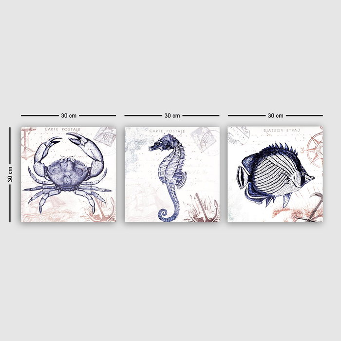 Wallity DRPRC12 Conjunto de 3 Pinturas Decorativas en Lienzo Multicolor